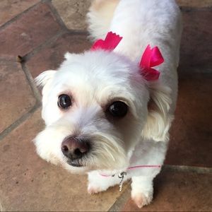 Meet your Posher, Aimee